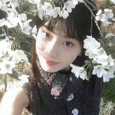 花园宝宝